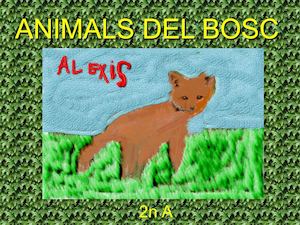 2n A - Animals del bosc