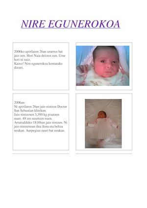 Nire Egunerokoa Plantila Naia