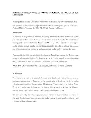 Principales Productores De Nanche En Municipio De Ayutla Gro