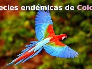 Especies Endemicas De Colombia