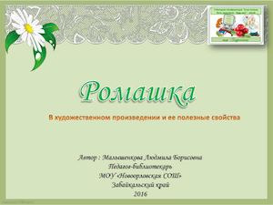 ромашка Малышенкова