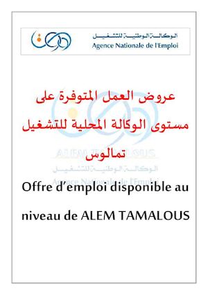 عروض العمل المتوفرة على مستوى الوكالة المحلية للتشغيل تمالوس