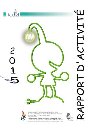Rapport d'activité 2015