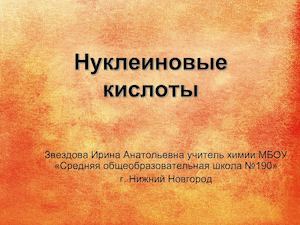 10 класс химия НК