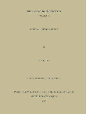 Mecanismos De Proteccion Yesica