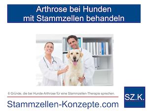 Arthrose beim Hund behandeln mit Stammzellen-Therapie: Stammzellen-Konzepte.com erklärt