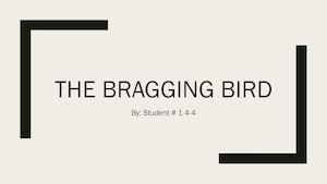 Calaméo - The Bragging Bird #1