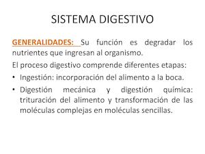 Sistema Digestivo