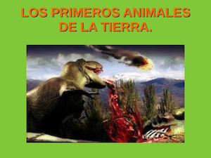 Projecte Animals