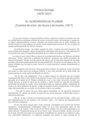 El Almohadón De Plumas