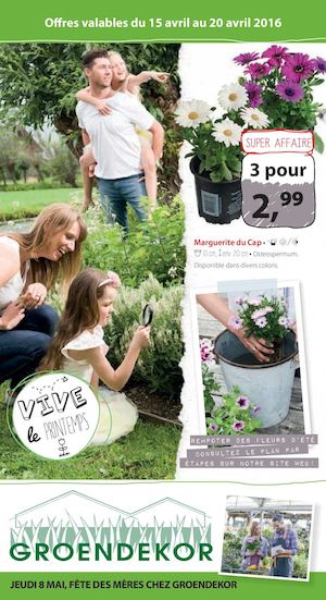 50130 Folder 6 Groendekor Fr