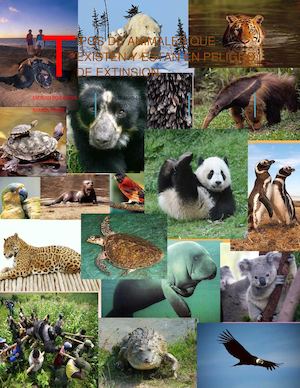 tipos de animales en peligro de extincion