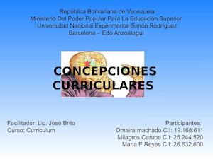 Concepciones Curriculares