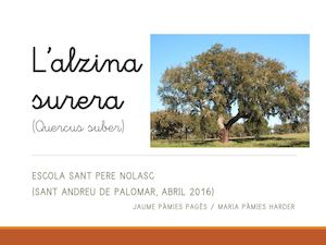 L’alzina Surera (V3) 97