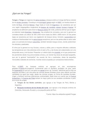 Qué Son Las Yungas