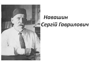 навашин.