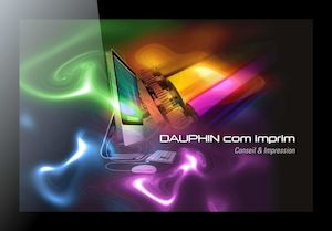 Plaquette Dauphin Com Imprim