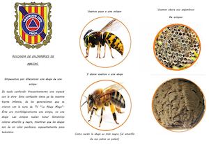 RECOGIDA DE ENJAMBRES DE ABEJAS