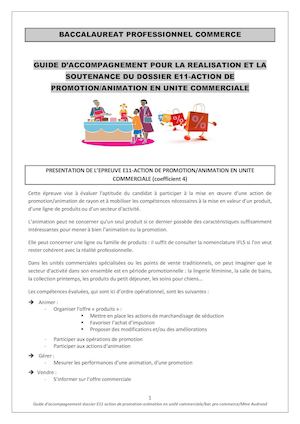 Guide Eleves E11 Promotion Animation