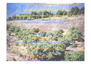 1 SANTIAGO PEREIRA Castaña