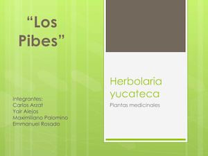 Herbolaria Yucateca Alfa