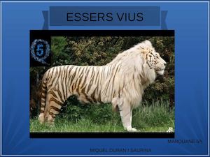 ESSERS VIUS