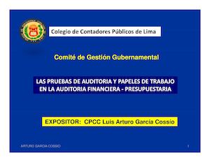 Planeamiento Pruebas Auditoria Papeles