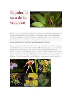 Orquídeas Ecuador