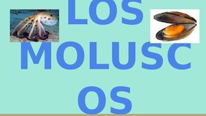 Los  Moluscos