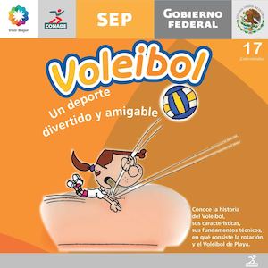 Voleibol