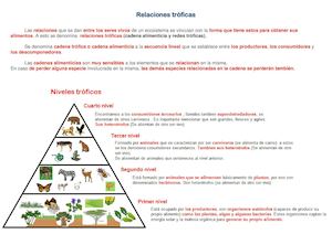 Material Relaciones Tróficas