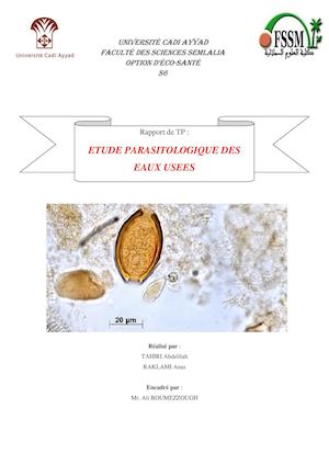 Rapport De Tp Parasitologie