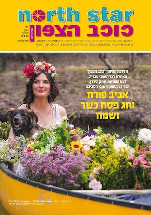 כוכב הצפון גיליון 2234 22.04.16