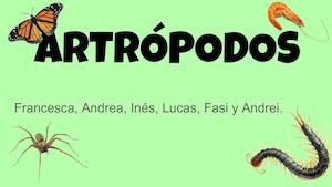 Artropodos