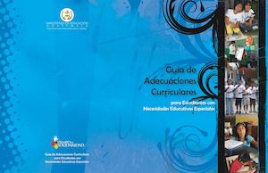 Manual De Adecuaciones Curriculares