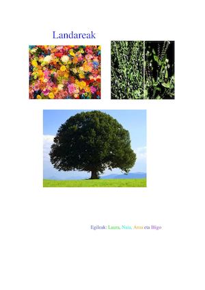 Landareak 1 Taldea