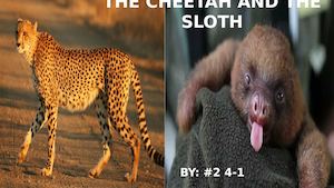 The Cheetah And The Sloth#2 4-1