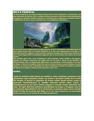 Selva