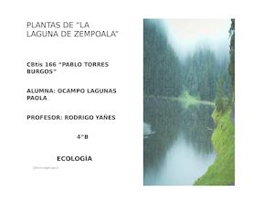Revista De Plantas De La Laguna De Zempoala
