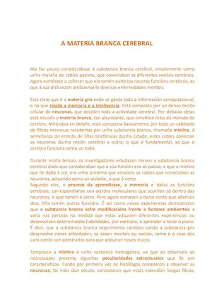 A Materia Branca Cerebral