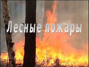 пожарная безопасность 2 А и 4 А