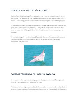 Descripción Del Delfín Rosado