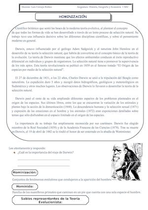 Procesos De Hominización