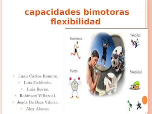 capacidades biomotoras (flexibilidad
