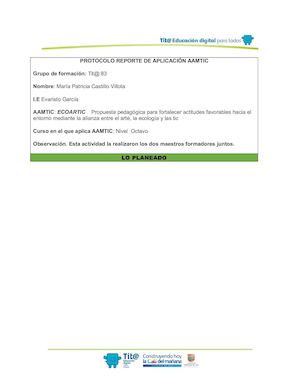 Fp Me Reporte Aplicacón 3 María Patricia Castillo Docx