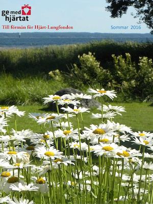 Gåvor Att Minnas 2016 April Pptx Med Mannerström