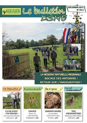 Bulletin de DSNE