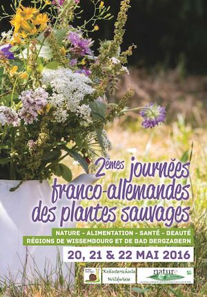Week-end Plantes Sauvages Comestibles et Médicinales