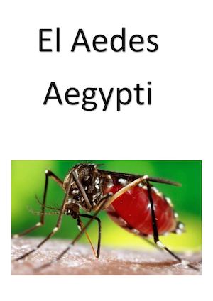 Folleto Dengue Nacho Agustín Fascundo Y Mateo B