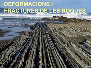 Plecs I Falles 4t Bio Geo